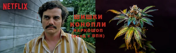 шишки Алексин